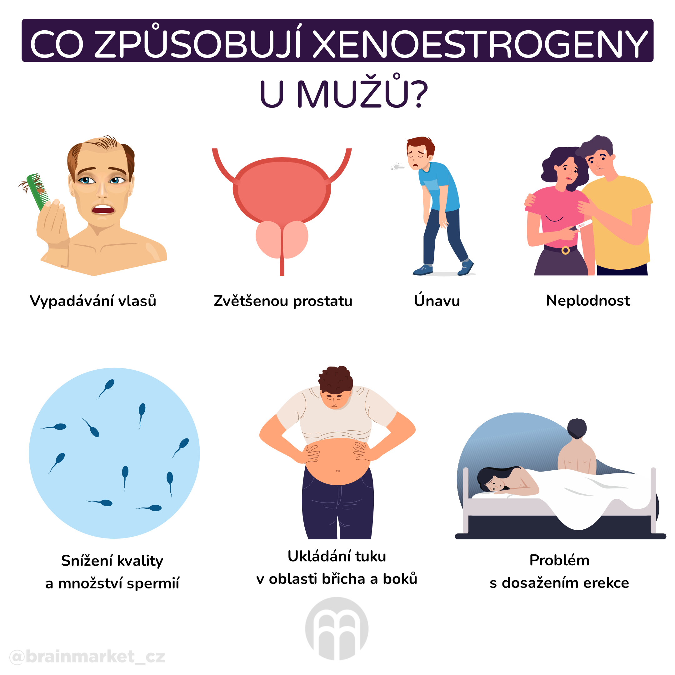 Co způsobují xenoestrogeny u mužů__infografika_cz